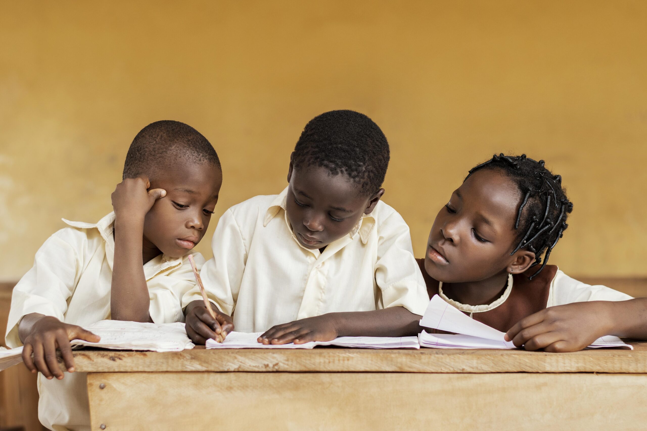 The Current State of Education in Cameroon and Sub-Saharan Africa: Challenges and Solutions